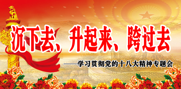 学习宣传贯彻党的十八大精神专题会