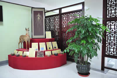 国医堂中医药展示角